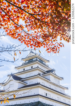 Tsuruga Castle (Aizuwakamatsu Castle) in late autumn, Aizuwakamatsu City, Fukushima Prefecture Tsuruga Castle (Aizuwakamatsu Castle) in late autumn, Aizuwakamatsu City, Fukushima Prefecture 120062274