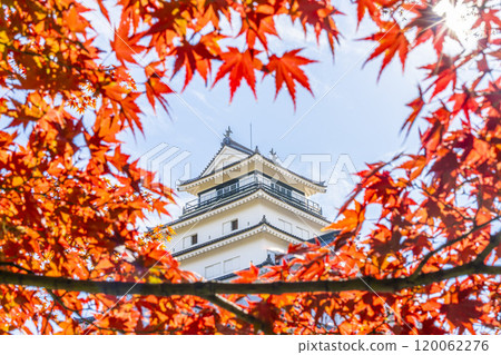 Tsuruga Castle (Aizuwakamatsu Castle) in late autumn, Aizuwakamatsu City, Fukushima Prefecture Tsuruga Castle (Aizuwakamatsu Castle) in late autumn, Aizuwakamatsu City, Fukushima Prefecture 120062276
