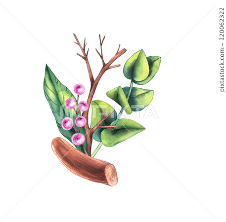 Watercolor Valentine's Day hand drawn illustration Watercolor Valentine's Day hand drawn illustration 120062322