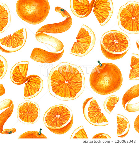 Watercolor orange tropical fruit hand drawn 120062348