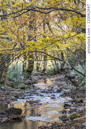 The flow of the Tatsuzawa River in late autumn, a view from the promenade, Inawashiro, Fukushima The flow of the Tatsuzawa River in late autumn, a view from the promenade, Inawashiro, Fukushima 120062647