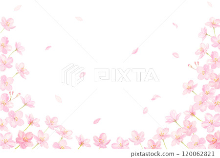 水彩畫的櫻花框架 120062821