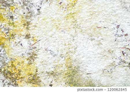 wall or fence, old wall or old fence or cement wall or cement wall texture 120062845