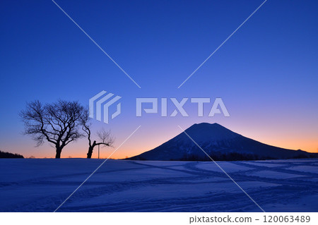 Winter morning on Mt. Yotei 120063489