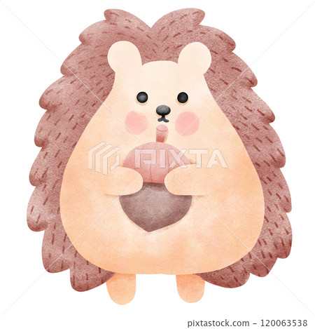 Watercolor hedgehog cartoon holding an acorn Watercolor hedgehog cartoon holding an acorn 120063538