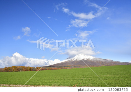 Photographing autumn-sown wheat fields and the first snow on Mt. Komagatake in late autumn in Mori Town, Hokkaido 120063733