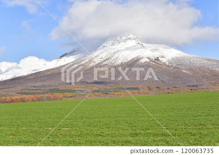 Photographing autumn-sown wheat fields and the first snow on Mt. Komagatake in late autumn in Mori Town, Hokkaido Photographing autumn-sown wheat fields and the first snow on Mt. Komagatake in late autumn in Mori Town, Hokkaido 120063735