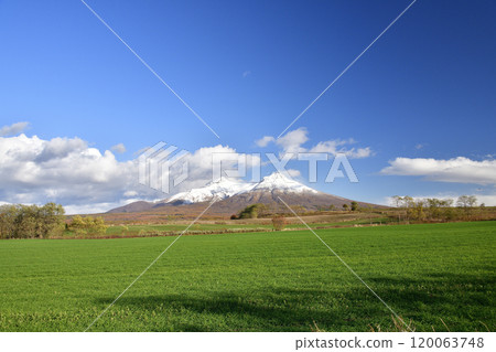 拍攝北海道森町秋季麥田和駒岳初雪的深秋 120063748