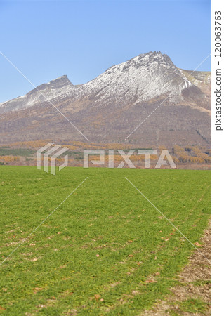 Photographing autumn-sown wheat fields and the first snow on Mt. Komagatake in late autumn in Mori Town, Hokkaido 120063763