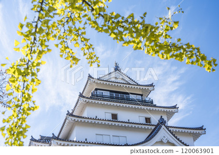 Tsuruga Castle (Aizuwakamatsu Castle) in late autumn, Aizuwakamatsu City, Fukushima Prefecture 120063901