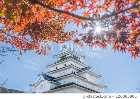 福島縣會津若松市敦賀城（會津若松城）深秋的楓葉 120063906