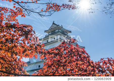 Tsuruga Castle (Aizu-Wakamatsu Castle) and maples in late autumn, Aizu-Wakamatsu City, Fukushima Prefecture Tsuruga Castle (Aizu-Wakamatsu Castle) and maples in late autumn, Aizu-Wakamatsu City, Fukushima Prefecture 120063909
