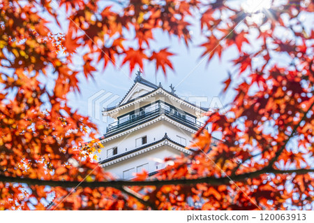 Tsuruga Castle (Aizu-Wakamatsu Castle) and maples in late autumn, Aizu-Wakamatsu City, Fukushima Prefecture Tsuruga Castle (Aizu-Wakamatsu Castle) and maples in late autumn, Aizu-Wakamatsu City, Fukushima Prefecture 120063913