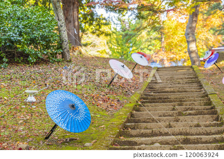 福島縣豬苗代町深秋的道津神社、秋葉和日本傘 120063924
