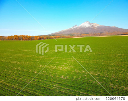 Aerial view of autumn-sown wheat fields and first snow on Mt. Komagatake in late autumn in Mori Town, Hokkaido 120064678