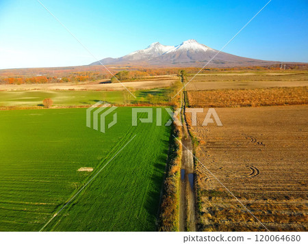 Aerial view of autumn-sown wheat fields and first snow on Mt. Komagatake in late autumn in Mori Town, Hokkaido 120064680