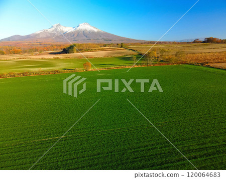 Aerial view of autumn-sown wheat fields and first snow on Mt. Komagatake in late autumn in Mori Town, Hokkaido 120064683