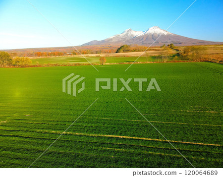 Aerial view of autumn-sown wheat fields and first snow on Mt. Komagatake in late autumn in Mori Town, Hokkaido Aerial view of autumn-sown wheat fields and first snow on Mt. Komagatake in late autumn in Mori Town, Hokkaido 120064689
