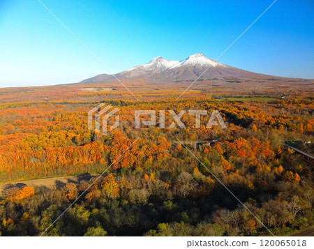 Aerial view of the first snow on Mt. Komagatake and autumnal forest scenery in Mori Town, Hokkaido in late autumn 120065018