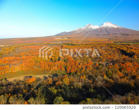 Aerial view of the first snow on Mt. Komagatake and autumnal forest scenery in Mori Town, Hokkaido in late autumn 120065020