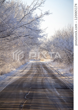 The road through the winter forest 120065174