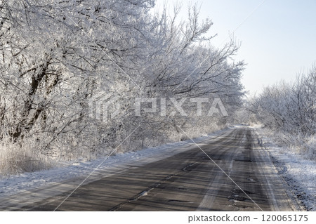 The road through the winter forest 120065175