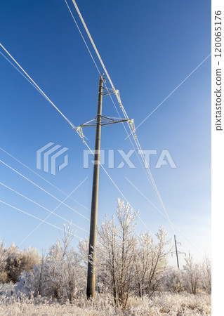 Iced high voltage wires 120065176