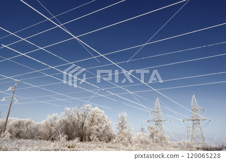 Iced high voltage wires Iced high voltage wires 120065228