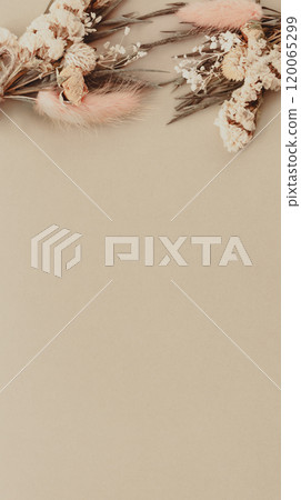 米色背景上的乾燥花 暗色花背景材料 120065299