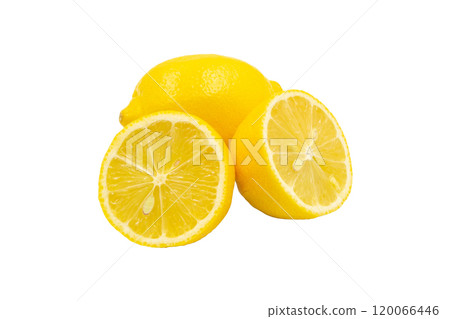 檸檬【廣島縣產】 120066446