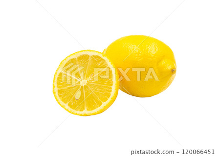 檸檬【廣島縣產】 120066451