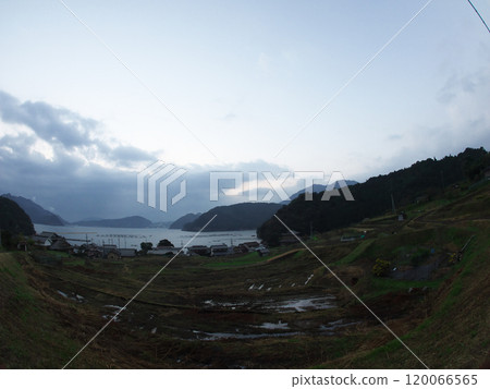 冬天清晨的響梯田和內浦灣 冬天清晨的響梯田和內浦灣 120066565
