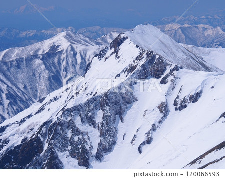 Winter oak trees seen from Mt. Tanigawa 120066593