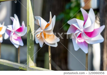 Autumn scenery of Kumano Shrine (Kumano Taisha) Kazahana in Nanyo City, Yamagata Prefecture 120066956