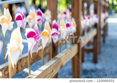 山形縣南陽市熊野神社（熊野大社）風花秋景 120066958