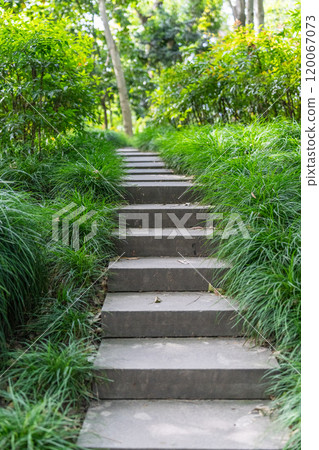 Stone steps among green trees in the park 120067073