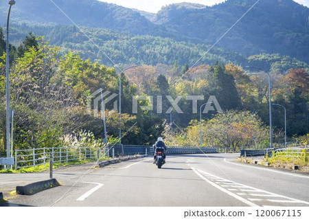 The back view of a motorcycle traveling on National Route 113 where the leaves are starting to turn red. Shiroishi City, Miyagi Prefecture The back view of a motorcycle traveling on National Route 113 where the leaves are starting to turn red. Shiroishi City, Miyagi Prefecture 120067115