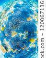 Heart-shaped coral floating in the coral reef 120067136