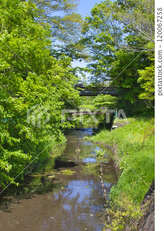 [神奈川縣] Fureia no Mori 120067258