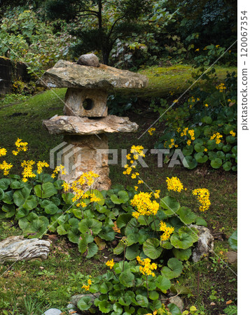 長岡市寺泊町的津瓦吹 120067354