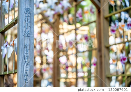 Autumn scenery of Kumano Shrine (Kumano Taisha) Kazahana in Nanyo City, Yamagata Prefecture 120067601