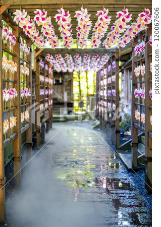 山形縣南陽市熊野神社（熊野大社）風花秋景 120067606