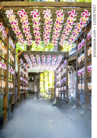 山形縣南陽市熊野神社(熊野大社)風花秋景 山形縣南陽市熊野神社(熊野大社)風花秋景 120067607