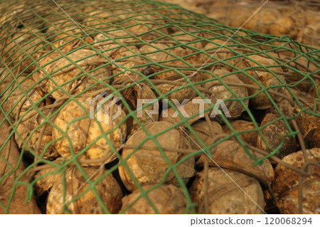 瑯勃拉邦未爆彈中心展出的炸彈內部 120068294