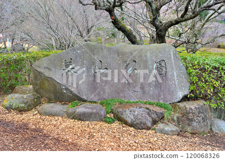 Kanto, Yugawara Plum Grove, a scene of a plum blossom party in early spring, an image of the entrance to Yugawara Makuyama Park, Yugawara Town, Kanagawa Prefecture (2) Kanto, Yugawara Plum Grove, a scene of a plum blossom party in early spring, an image of the entrance to Yugawara Makuyama Park, Yugawara Town, Kanagawa Prefecture (2) 120068326