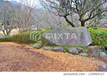Kanto, Yugawara Plum Grove, a scene of a plum blossom party in early spring, an image of the entrance to Yugawara Makuyama Park, Yugawara Town, Kanagawa Prefecture (1) Kanto, Yugawara Plum Grove, a scene of a plum blossom party in early spring, an image of the entrance to Yugawara Makuyama Park, Yugawara Town, Kanagawa Prefecture (1) 120068327