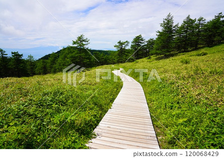 Ikenodaira Marsh, Nagano Prefecture Ikenodaira Marsh, Nagano Prefecture 120068429