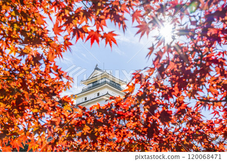 福島縣會津若松市敦賀城（會津若松城）和深秋的鮮紅楓葉 120068471