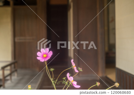 京都府八幡市可預約的古民宅 120068680