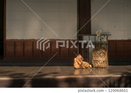 京都府八幡市可預約的古民宅 120068681